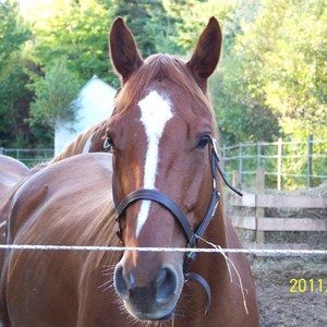 Meet your Posher, Diane